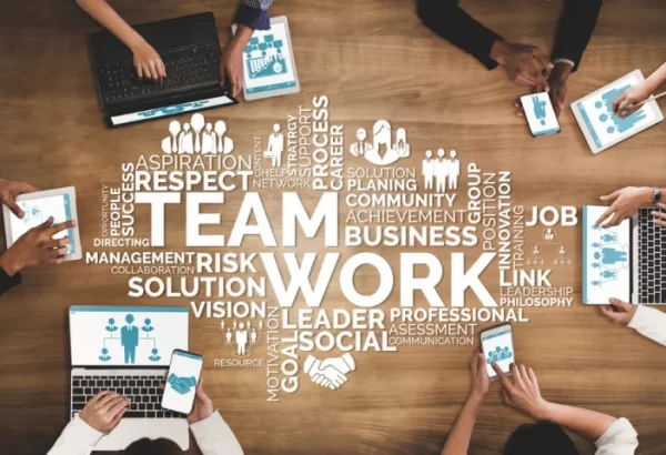 Skills for Human Resource Professionals.png